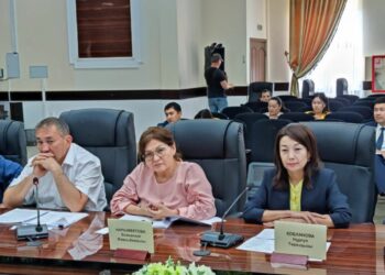 МҮМКІНДІГІ ШЕКТЕУЛІ АЗАМАТТАР ӘЛЕУМЕТТІК ҚЫЗМЕТТЕРГЕ ПОРТАЛ АРҚЫЛЫ ТАПСЫРЫС БЕРЕ АЛАДЫ