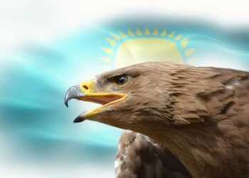 Бүркіттен үйренетін алты көшбасшылық ұстаным