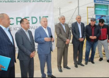 AMANAT»: ҚАЗЫҒҰРТ ТҰРҒЫНДАРЫ РЕФЕРЕНДУМДЫ ҚЫЗУ ҚОЛДАП ОТЫР