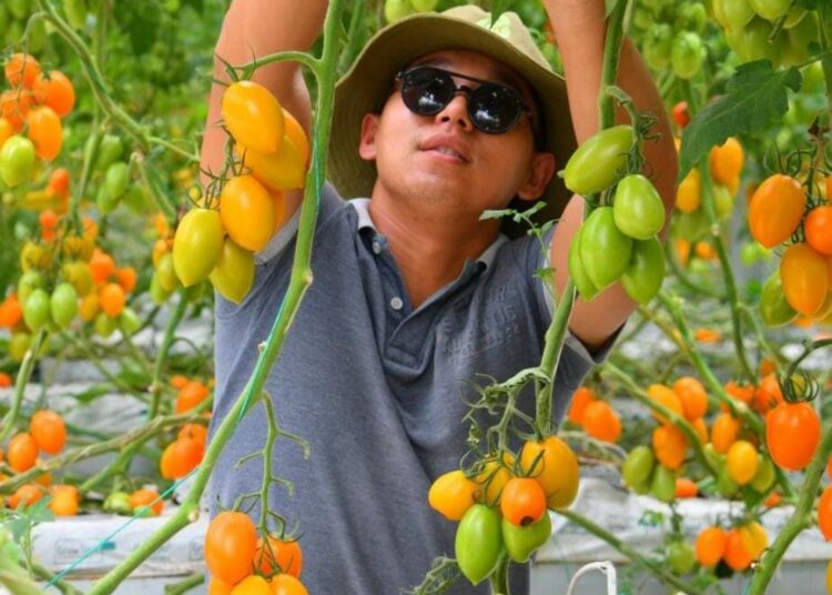 ШЫМКЕНТТЕ ЖЫЛЫЖАЙ КӘСІБІ ДАМУДА