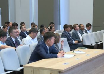 Мемлекеттік қызметшілерге дағдарыс кезеңіндегі коммуникация бойынша шеберлік сабағы өтті