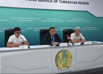 ТҮРКІСТАН ҚАЛАСЫНДАҒЫ ЖАСЫЛ ЖЕЛЕКТЕРДІҢ ӨНІМДІЛІГІ 65% ЖЕТТІ