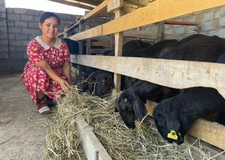 📌 ГРАНТ АЛЫП ҚОЙ ШАРУАШЫЛЫҒЫН ҚОЛҒА АЛДЫ