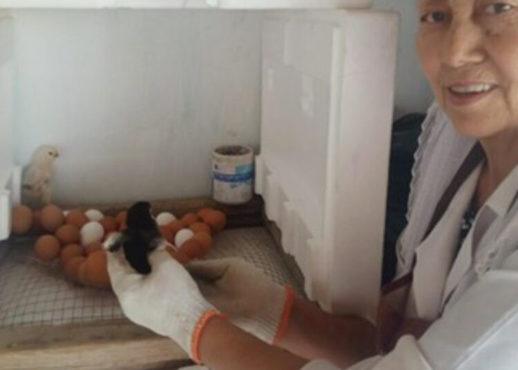 ҚАЙТАРЫМСЫЗ ГРАНТ АЛЫП, КӘСІБІН ДӨҢГЕЛЕТКЕН