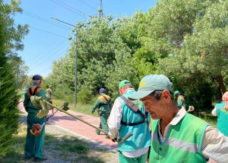 ДЕНДРОСАЯБАҚТАҒЫ ӨРТТЕН АҒАШТАРҒА ЗАҚЫМ КЕЛГЕН ЖОҚ