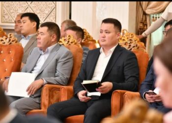 СУ БАСУДЫҢ АЛДЫН АЛУ
