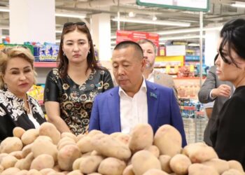 АЗЫҚ-ТҮЛІК БАҒАСЫН ТЕКСЕРУ ЖҰМЫСТАРЫ ЖАЛҒАСУДА