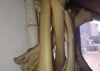 Кәрі жілікті босағаға неге іледі?