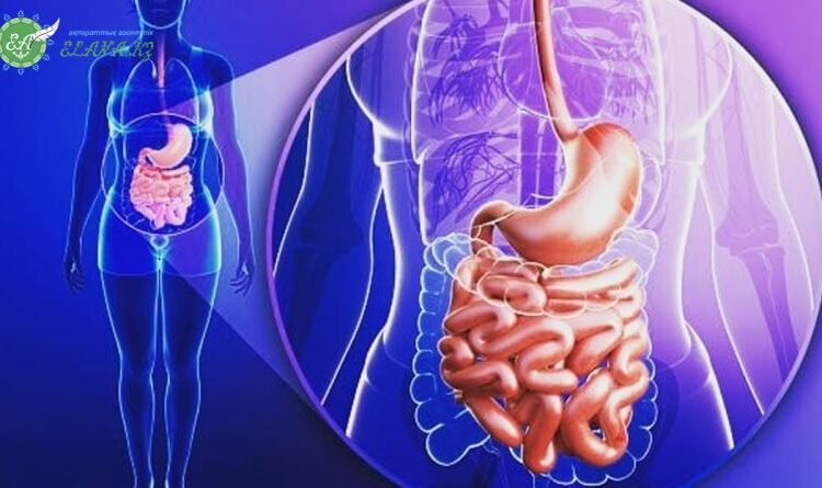 СIЗ БIЛЕСIЗ БЕ? АДАМ АҒЗАСЫНЫҢ ЕКІНШІ МИЫ — ОЛ ІШЕК ЕКЕН.