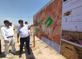 «ЖАСЫЛ БЕЛДЕУ» АЙМАҒЫНДА КӨШЕТТЕРДІҢ ӨНІМДІЛІГІ АРТЫП КЕЛЕДІ