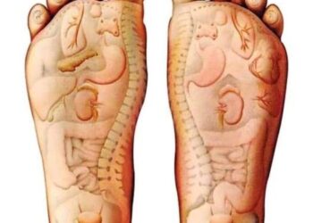 ДӘРІСІЗ ЕМНІҢ БІР ТҮРІ