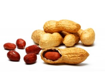 ЖЕР ЖАҢҒАҒЫНЫҢ ЕМДІК ҚАСИЕТІ