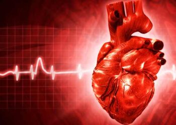 ЖҮРЕК ҚАН ТАМЫРЫ АУРУЛАРЫНАН АРЫЛУДЫҢ 3 ТӘСІЛІ