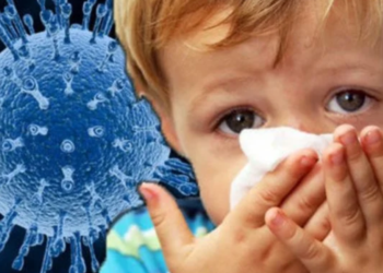 ЖҰҚПАЛЫ АУРУЛАРДЫҢ АЛДЫН АЛУ