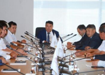 МӘДЕНИЕТ САЛАСЫНЫҢ МАМАНДАРЫ ПРЕЗИДЕНТ ЖОЛДАУЫНА ҚОЛДАУ БІЛДІРДІ