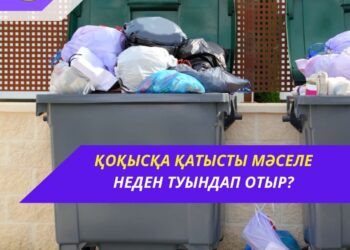 ҚОҚЫСҚА ҚАТЫСТЫ МӘСЕЛЕ НЕДЕН ТУЫНДАП ОТЫР?