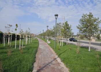 ТУРКЕСТАН: ДАРХАН САТЫБАЛДЫ ПРЕДЪЯВИЛ ПОДРЯДЧИКАМ РЯД ТРЕБОВАНИЙ