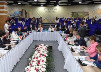 ТҮРКІСТАНДА ТМД-НЫҢ ДЕНСАУЛЫҚ САҚТАУ САЛАСЫНДАҒЫ ЫНТЫМАҚТАСТЫҚ КЕҢЕСІНІҢ ОТЫРЫСЫ ӨТУДЕ