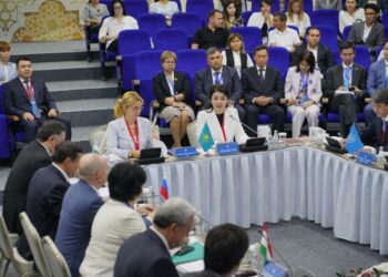 ТҮРКІСТАНДА ТМД-НЫҢ ДЕНСАУЛЫҚ САҚТАУ САЛАСЫНДАҒЫ ЫНТЫМАҚТАСТЫҚ КЕҢЕСІНІҢ ОТЫРЫСЫ ӨТУДЕ