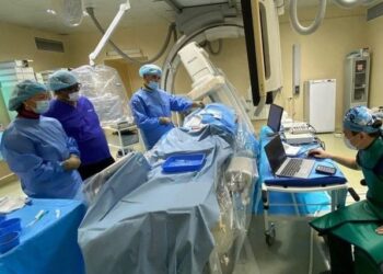 ТҮРКІСТАН: КҮРДЕЛІ ОТА ЖАСАУ БОЙЫНША МАСТЕР-КЛАСС ӨТКІЗІЛДІ