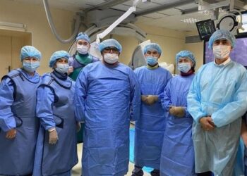 ТҮРКІСТАН: КҮРДЕЛІ ОТА ЖАСАУ БОЙЫНША МАСТЕР-КЛАСС ӨТКІЗІЛДІ