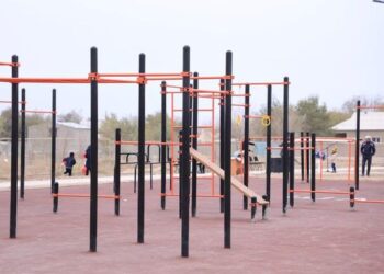 ПРЕДПРИНИМАТЕЛЬ ИЗ АРЫСИ ПОСТРОИЛ СПОРТПЛОЩАДКУ