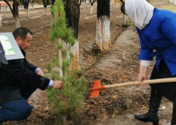 ЗЕЛЕНЫЙ ЧЕЛЛЕНДЖ ПРОДОЛЖИЛСЯ В ТУРКЕСТАНЕ