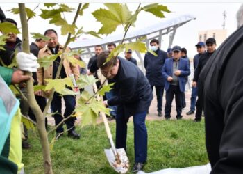 ҚОНАЕВ-РЫСҚҰЛОВ КӨШЕЛЕРІ ҚИЫЛЫСЫНДАҒЫ ЖОЛАЙРЫҚ САЛТАНАТТЫ ТҮРДЕ АШЫЛДЫ