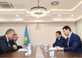ДАРХАН САТЫБАЛДЫ ТҮРКСОЙ ҰЙЫМЫНЫҢ БАС ХАТШЫСЫМЕН КЕЗДЕСТІ