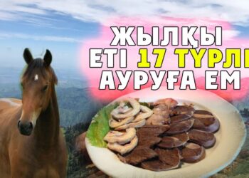 Жылқының еті 17 ауруға ем