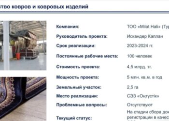 ШЫМКЕНТ- ИНВЕСТИЦИЯҒА ТАРТЫМДЫ ҚАЛА