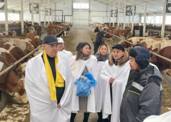 ЖИГУЛИ ДАЙРАБАЕВТЫҢ ШТАБЫ ШАРУАЛАРМЕН ЖҮЗДЕСТІ