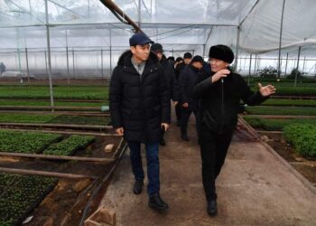 ДАРХАН САТЫБАЛДЫ: «АУЫЛ ШАРУАШЫЛЫҒЫН ӘРТАРАПТАНДЫРУҒА КҮШ САЛУ КЕРЕК»