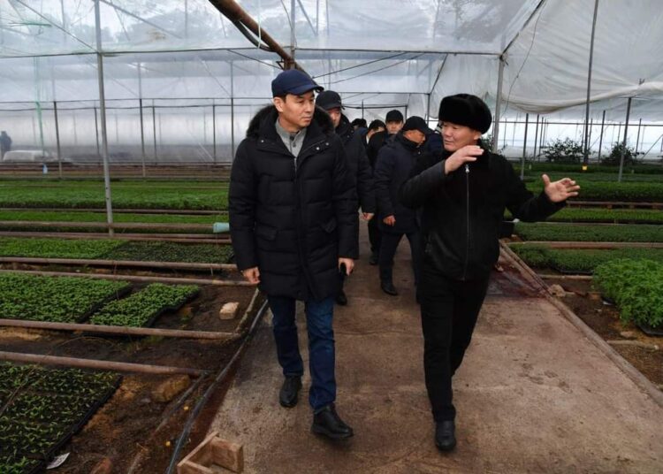 ДАРХАН САТЫБАЛДЫ: «АУЫЛ ШАРУАШЫЛЫҒЫН ӘРТАРАПТАНДЫРУҒА КҮШ САЛУ КЕРЕК»