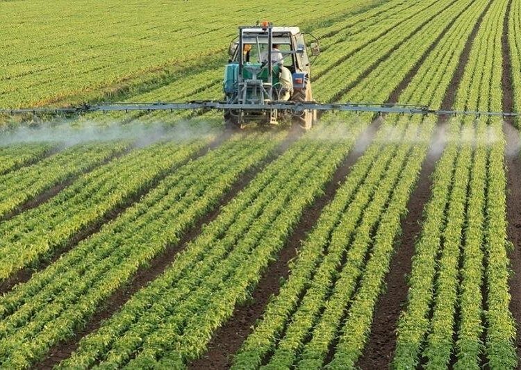 АБАЙ АУДАНЫНДА ЕГІС КӨЛЕМІ 1,8 МЫҢ ГЕКТАРҒА АРТҚАН