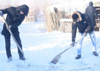 «ҮЛКЕНГЕ ҚҰРМЕТ» акциясы жалғасуда