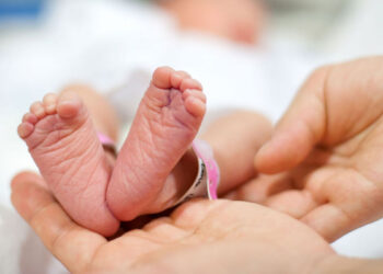 «АҢСАҒАН СӘБИ»: ШЫМКЕНТТЕ КВОТА САНЫ АРТТЫ