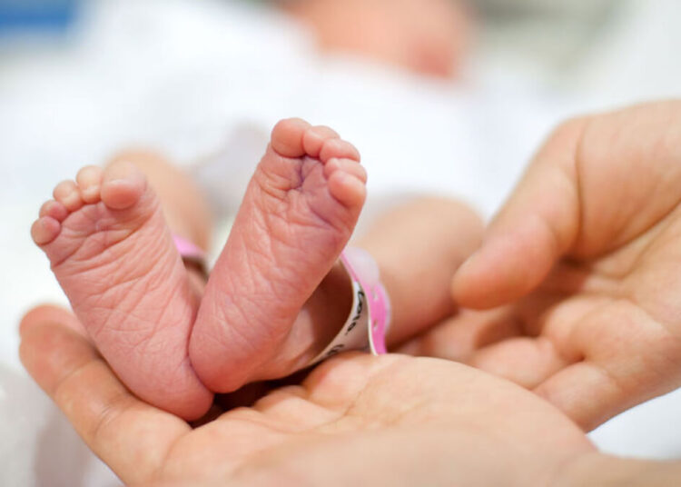 «АҢСАҒАН СӘБИ»: ШЫМКЕНТТЕ КВОТА САНЫ АРТТЫ