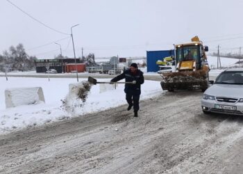 ТҮРКІСТАН: МАҚТААРАЛДА ТАЙҒАҚҚА ҚАРСЫ 8 ТОННА ТҰЗ, 42 ТОННА ҚҰМ СЕБІЛДІ