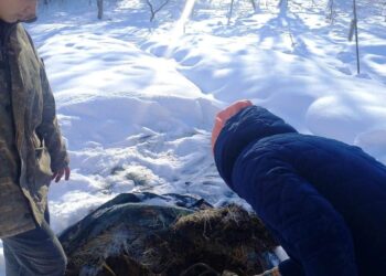 ТҮРКІСТАН: ҚАЗЫҒҰРТТА ТАБИҒИ ТЫҢАЙТҚЫШ ӨНДІРУ ДАМЫП КЕЛЕДІ