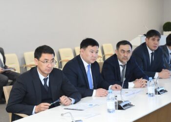 ТҮРКІСТАН: КЕНТАУДАҒЫ ЖЫЛУ ЭЛЕКТР ОРТАЛЫҒЫН КЕҢЕЙТУ БОЙЫНША ИНВЕСТОРМЕН КЕЛІССӨЗ ЖҮРГІЗІЛДІ