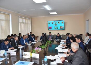 ТҮРКІСТАН: СОЗАҚТА ҰЛТТЫҚ ЖОБА АЯСЫНДА МҮГЕДЕКТІГІ БАР 236 АЗАМАТ ЖҰМЫСПЕН ҚАМТЫЛДЫ