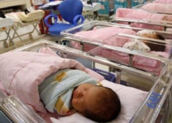 ТҮРКІСТАН ОБЛЫСЫНДА САЙЛАУ КҮНІ 86 СӘБИ ДҮНИЕГЕ КЕЛДІ