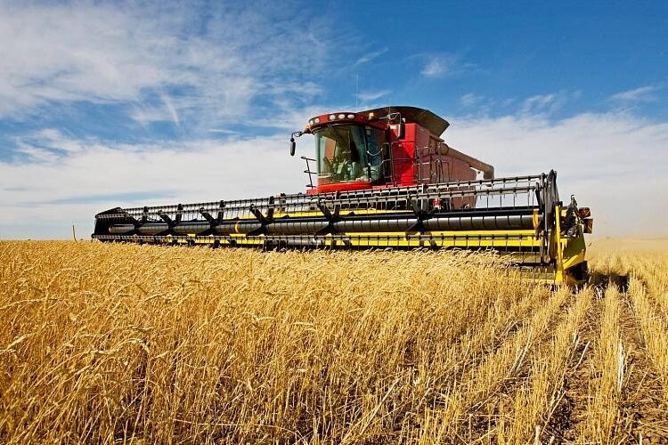 ШАРУАЛАРҒА МЕМЛЕКЕТТІК ҚОЛДАУ ШАРАЛАРЫ ЖАЛҒАСЫП КЕЛЕДІ