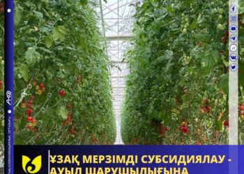 ҰЗАҚ МЕРЗІМДІ СУБСИДИЯЛАУ — АУЫЛ ШАРУШЫЛЫҒЫНА СЕРПІН БЕРУГЕ СЕПТІГІН ТИГІЗЕДІ