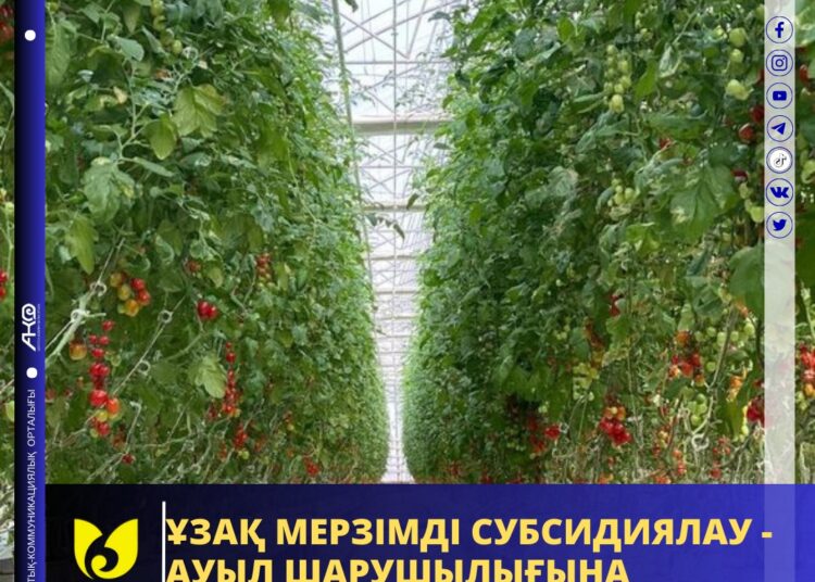 ҰЗАҚ МЕРЗІМДІ СУБСИДИЯЛАУ — АУЫЛ ШАРУШЫЛЫҒЫНА СЕРПІН БЕРУГЕ СЕПТІГІН ТИГІЗЕДІ