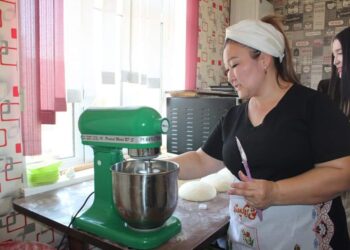 ТҮРКІСТАН: КӨПБАЛАЛЫ АНАЛАР «ТАБЫСТЫ ОТБАСЫ» ЖОБАСЫ АРҚЫЛЫ КӘСІБІН ЖАНДАНДЫРДЫ