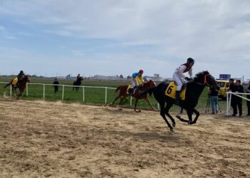 Қостанай тұқымы жылқылары арасында бәйге өтті