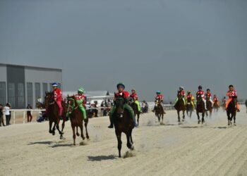 Шымкентте бәйгеден Қазақстан чемпионатының екінші кезеңі өтті