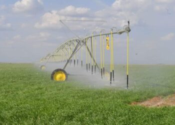 ТҮРКІСТАН: НЕГІЗГІ ЭКОНОМИКАЛЫҚ КӨРСЕТКІШТЕРДЕ ӨСІМ БАЙҚАЛДЫ